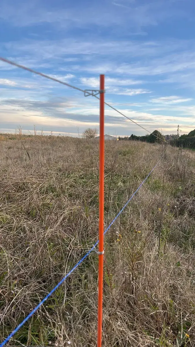 Boyero eléctrico y alambrados